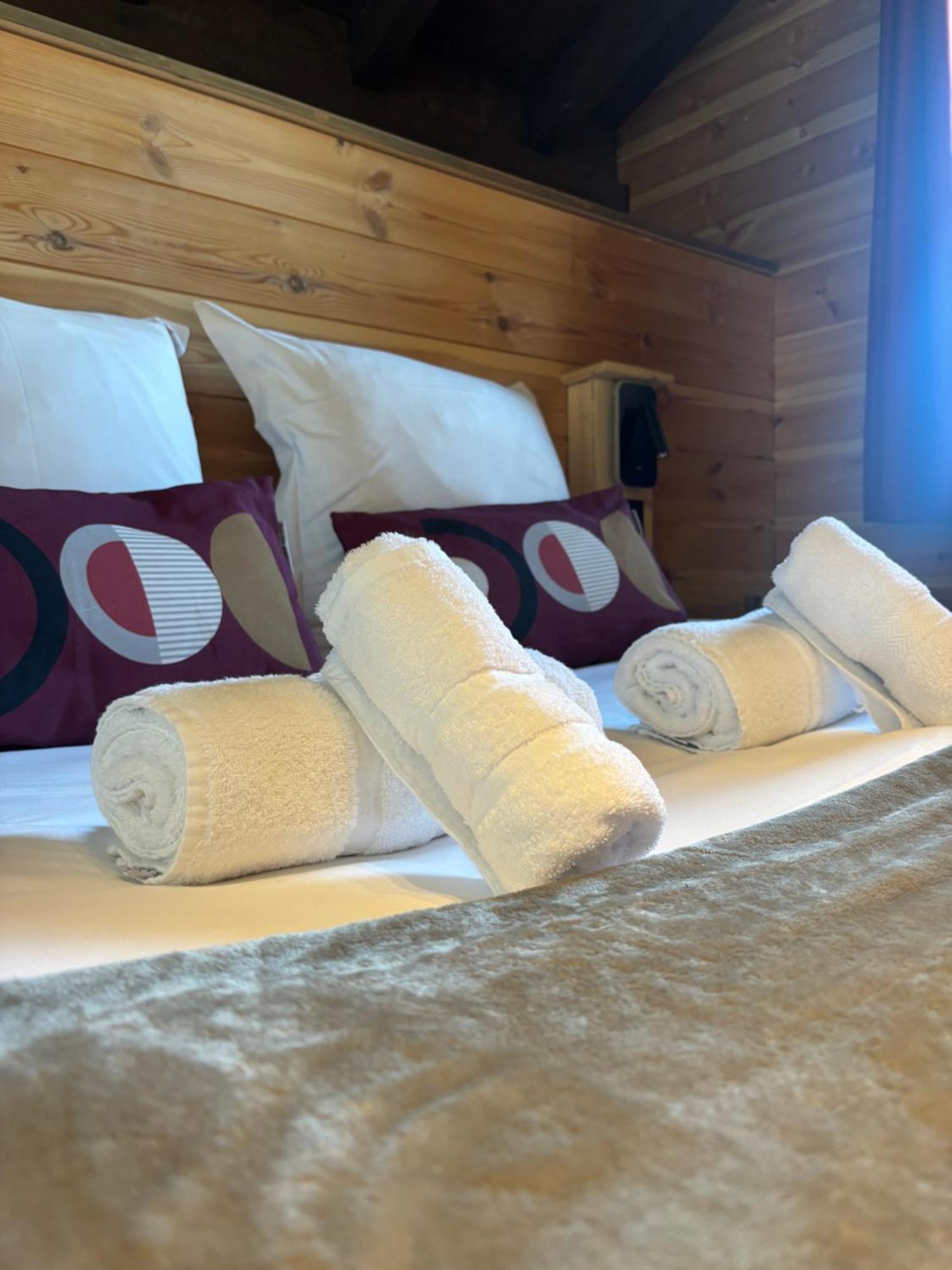 Chalet Sainte Anne La Condamine-Chatelard ภายนอก รูปภาพ